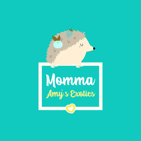 Momma Amy's Exotics & accessories 